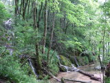 Vorschaubild dscf_F30-2_012340_Nationalpark_Plitvicer_Seen_-_Wasserfalle_zwischen_Batinovac_und_Galovac.jpg 