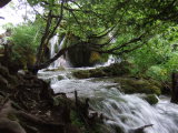 Vorschaubild dscf_F30-2_012409_Nationalpark_Plitvicer_Seen_-_Wasserfallchen_aus_dem_Milanovac_in_den_Gavanovac.jpg 